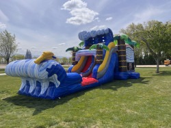 04512C45 064D 40B9 8CE5 340F50AE585E 1745701397 Shark/ palm tree Bounce House slide Combo Wet/Dry