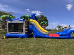 97C2DB99 8775 4F8A 9664 156B64E47673 1745701399 Shark/ palm tree Bounce House slide Combo Wet/Dry