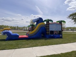 9BC02C52 10D8 4D82 A51A 086ED8BE833D 1745701396 Shark/ palm tree Bounce House slide Combo Wet/Dry