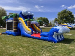 C2A5EC02 7860 4576 9500 BD8EEC06903B 1745701398 Shark/ palm tree Bounce House slide Combo Wet/Dry