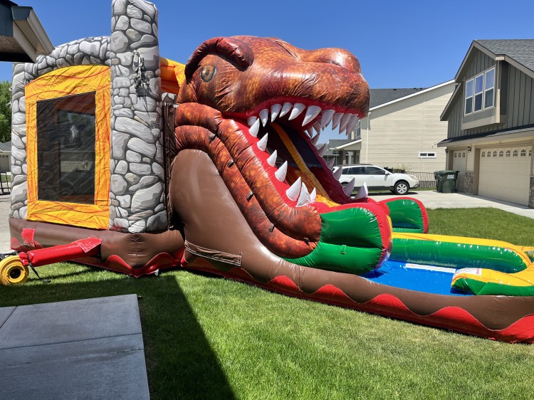 Bounce House Slide Combos Wet/Dry